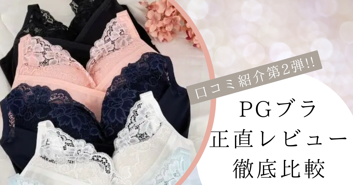 PGブラ口コミ 第2弾】ソフトワイヤーの正直レビューを徹底解説