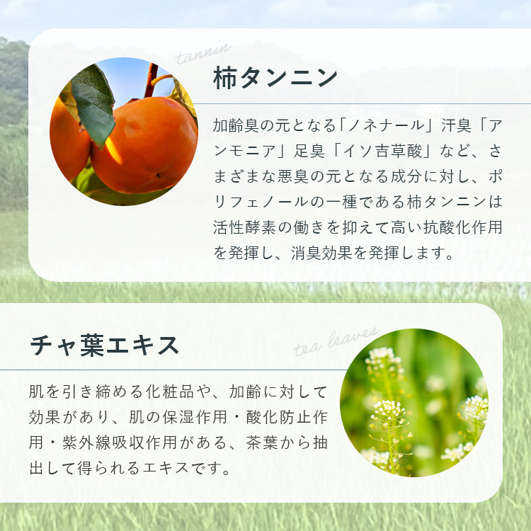 KAREINITORE カレイニトーレ 耳ウラ対策 クレンジング スプレー 脂臭 無香料 臭い対策 耳裏 体臭 加齢臭ケア 150ml