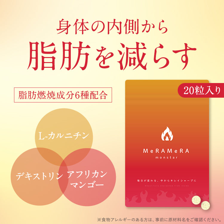 【脂肪燃焼サプリ】メラメラモンスター